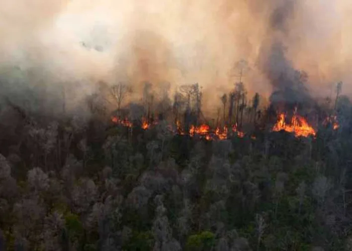 Hotspot di Riau Melonjak Jadi 43 Titik, BMKG Ingatkan Ancaman Karhutla
