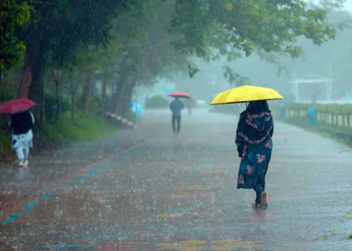 Update Cuaca Riau: Tiga Wilayah Berpotensi Hujan, BMKG Temukan 8 Hotspot
