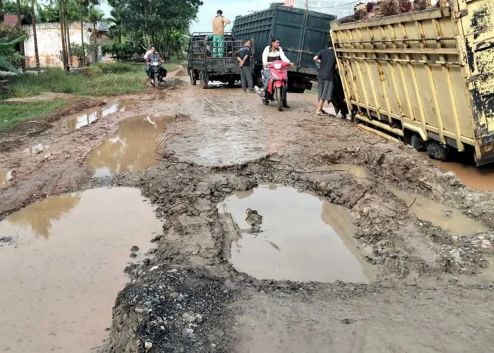 Jalan Poros Sungai Pinang Rohil Rusak Parah, Warga Sebut Sudah Berulang Kali Makan Korban