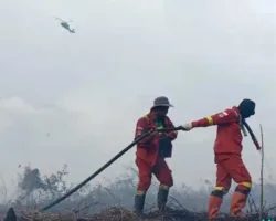 Riau Siaga Darurat Karhutla, El Nino Ancam Gambut Sampai November 2026