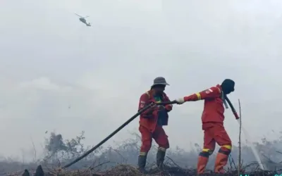 Karhutla Inhu Berangsur Terkendali, Asap di Sekip Hilir Mulai Menipis