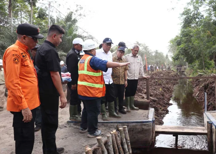 KLH Percepat Pembangunan Sekat Kanal di Pelalawan Guna Cegah Karhutla