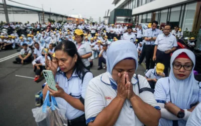 Badai PHK Mengintai di Tengah Tekanan Ekonomi, Apindo Siapkan 12 Langkah Penyelamatan Perusahaan
