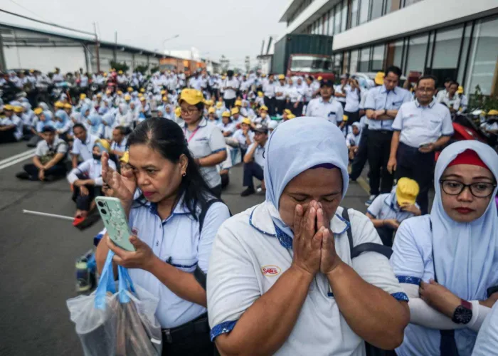 Badai PHK Mengintai di Tengah Tekanan Ekonomi, Apindo Siapkan 12 Langkah Penyelamatan Perusahaan