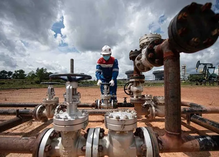 PI 10 Persen Bukan Sekadar Dividen, Daerah Penghasil Migas Harus Mampu Kuasai Bisnis Energi
