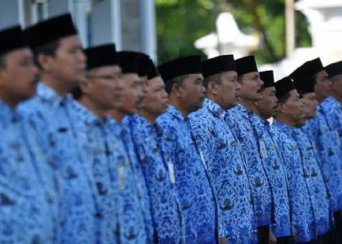 Tak Ada Penerimaan CPNS Baru di Riau Tahun Ini, Pemprov Sebut ASN Sudah Terlalu Banyak
