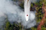 Karhutla Kembali Melanda Kerumutan Pelalawan, Helikopter Water Bombing Dikerahkan Padamkan Api