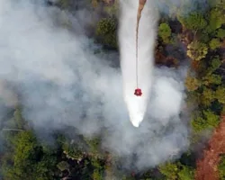Menko Polkam Hidupkan Kembali Desk Karhutla, Riau Masuk Prioritas Utama
