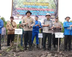 Tanam 7.000 Mangrove di Pesisir Siak, Polres dan Pemkab Bergerak Hadang Ancaman Abrasi Sungai Apit