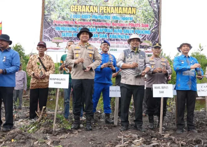 Tanam 7.000 Mangrove di Pesisir Siak, Polres dan Pemkab Bergerak Hadang Ancaman Abrasi Sungai Apit