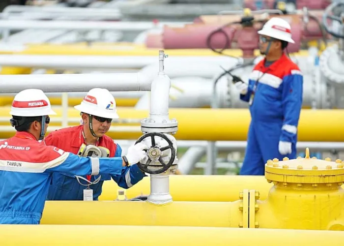 Produksi Migas Pertamina Tembus 1 Juta BOEPD, Rokan Sumbang Temuan 724 Juta Barel