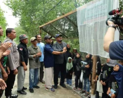 Sekolah Alam Mangrove Siak Bina 40 Pelajar, Jadi Benteng Iklim Pesisir