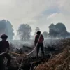 Alarm Karhutla di Riau! Hotspot Melonjak Jadi 35 Titik, Rokan Hilir Paling Rawan