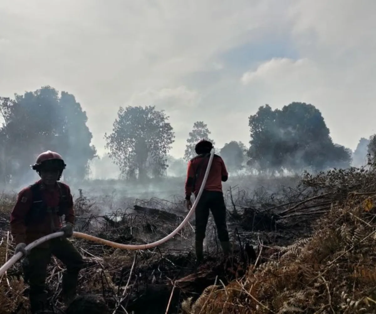 Hotspot Riau Tersisa 10 Titik, BMKG Ingatkan Potensi Hujan Lebat dan Angin Kencang