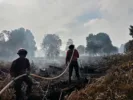 Hotspot Riau Tersisa 10 Titik, BMKG Ingatkan Potensi Hujan Lebat dan Angin Kencang