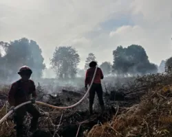 Alarm Karhutla di Riau! Hotspot Melonjak Jadi 35 Titik, Rokan Hilir Paling Rawan