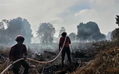 Alarm Karhutla di Riau! Hotspot Melonjak Jadi 35 Titik, Rokan Hilir Paling Rawan