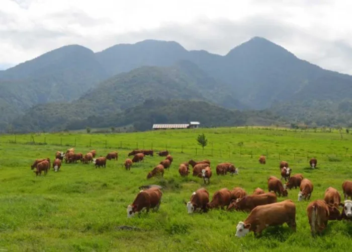 Mau Liburan ke Sumbar? Inilah 5 Destinasi di Payakumbuh yang Selalu Jadi Favorit Wisatawan