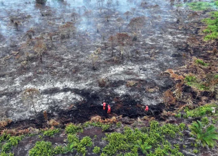 Karhutla Riau Meluas, 80 Hektare Lahan di Bengkalis Terbakar, Kampar Siaga