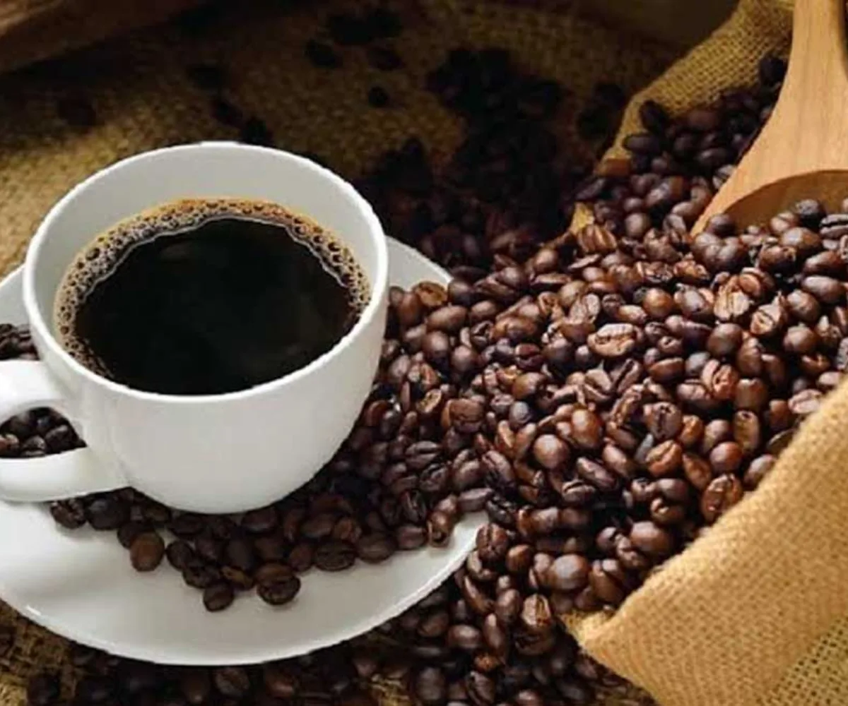 Kopi Luwak Gayo Terbaik Versi Taste Atlas, Isu Konservasi Satwa Jadi Sorotan
