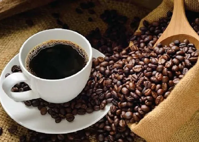 Kopi Luwak Gayo Terbaik Versi Taste Atlas, Isu Konservasi Satwa Jadi Sorotan