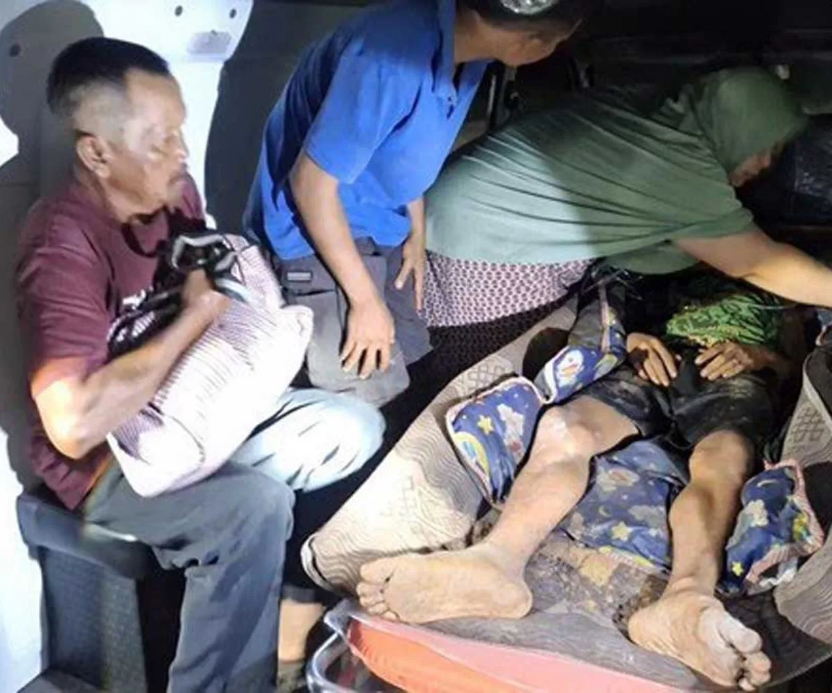 Konflik Harimau Sumatera di Riau Kian Ganas, Empat Serangan Sebulan, Dua Orang Tewas