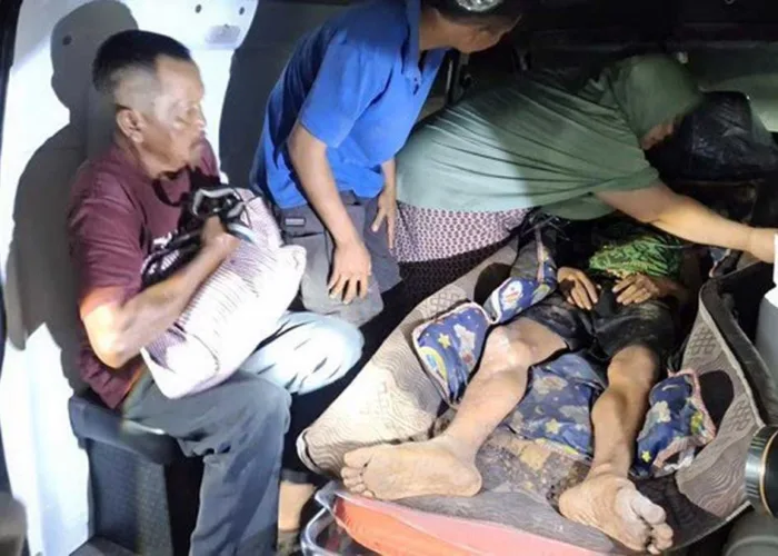 Konflik Harimau Sumatera di Riau Kian Ganas, Empat Serangan Sebulan, Dua Orang Tewas