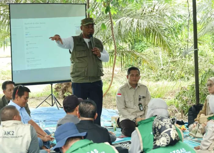 Siak Targetkan Produksi Padi Naik Dua Kali Lipat lewat Optimalisasi 1.473 Hektare Lahan