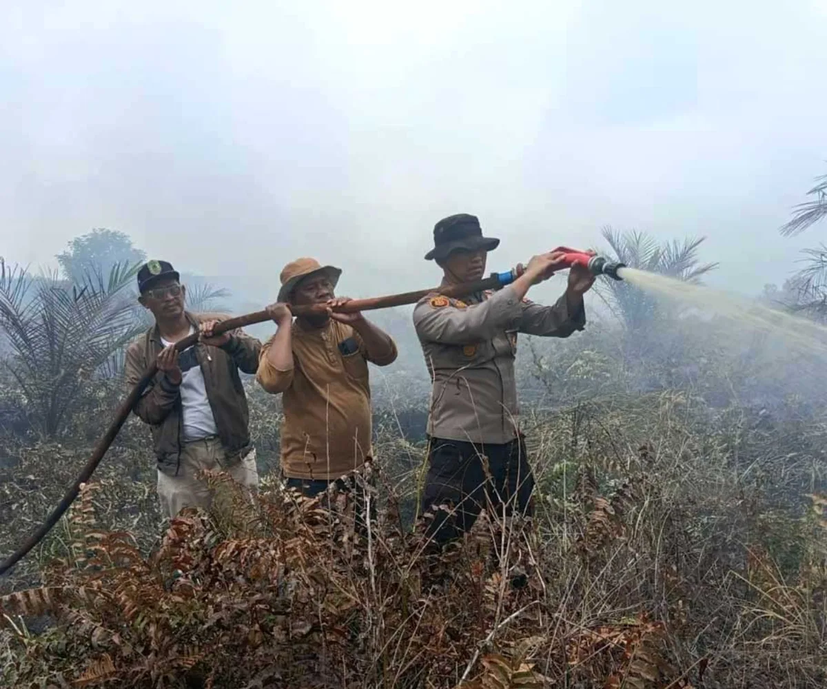 Hotspot di Riau Berkurang Jadi 5 Titik, BMKG Minta Warga Tetap Waspada Karhutla