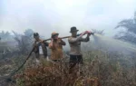 Hotspot di Riau Berkurang Jadi 5 Titik, BMKG Minta Warga Tetap Waspada Karhutla