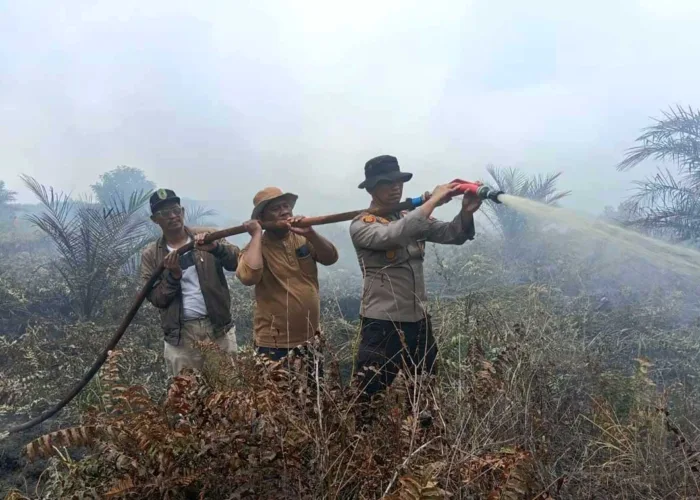 Hotspot di Riau Berkurang Jadi 5 Titik, BMKG Minta Warga Tetap Waspada Karhutla