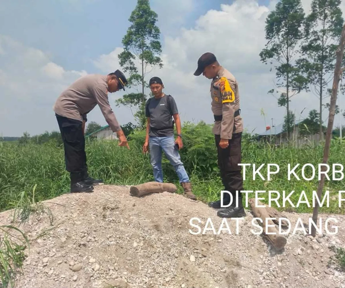 Konflik Manusia dan Harimau di Pelalawan Mengkhawatirkan, Sepekan Dua Orang Tewas Diterkam