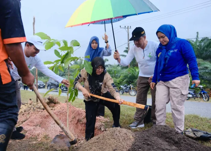 Pemkab Siak Tanam 5.050 Pohon di Jalan Siak-Dayun, Setiap Pohon Punya Penanggung Jawab