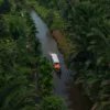 Mentawai Kembangkan Kawasan Wisata 5.000 Hektare Berkonsep Eco Resort