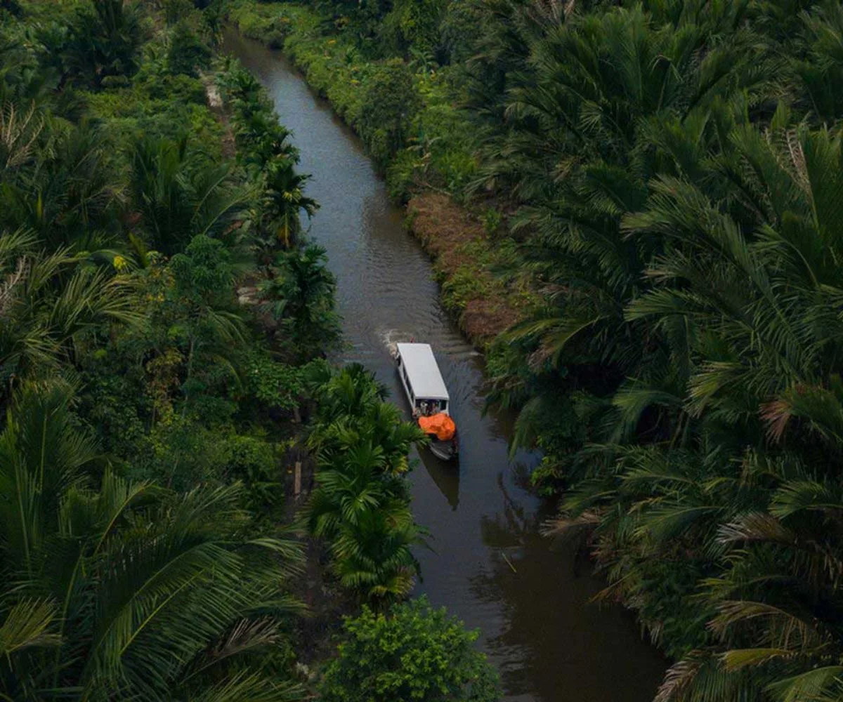 Mentawai Kembangkan Kawasan Wisata 5.000 Hektare Berkonsep Eco Resort