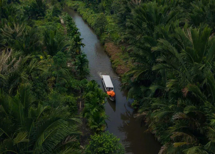 Mentawai Kembangkan Kawasan Wisata 5.000 Hektare Berkonsep Eco Resort