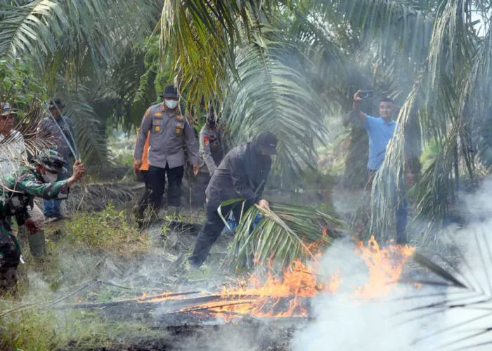 Karhutla Mengancam Cagar Biosfer, Bupati Siak Turun Tangan Padamkan Api