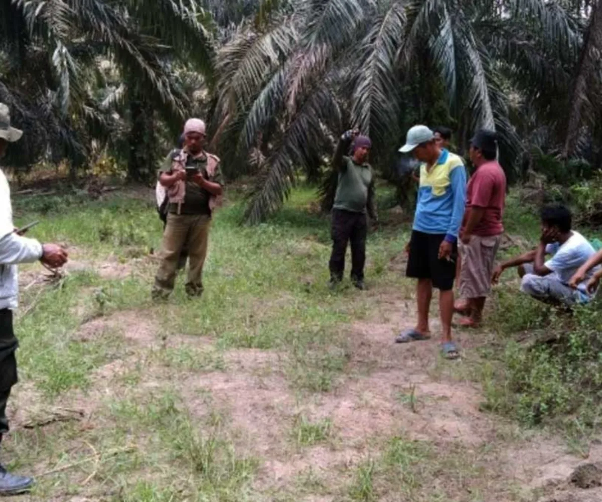 Konflik Gajah Liar di Bengkalis, Seorang Warga Meninggal dan Satu Terluka