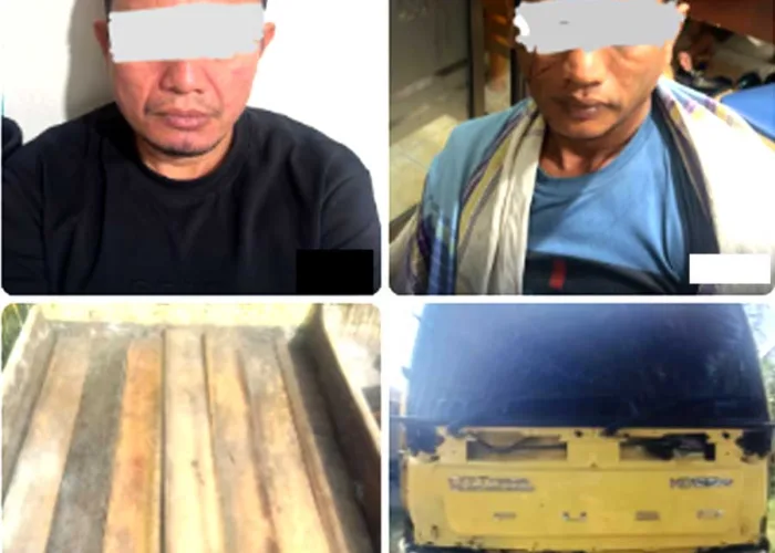 Dua Truk Bermuatan Kayu Ilegal Diamankan di Pelalawan, Polisi Tahan Dua Orang