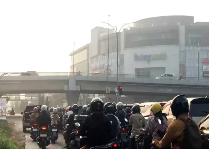 Bukan Cuma Sesak Napas, Kabut Asap Karhutla Ternyata Bisa Mengancam Jantung