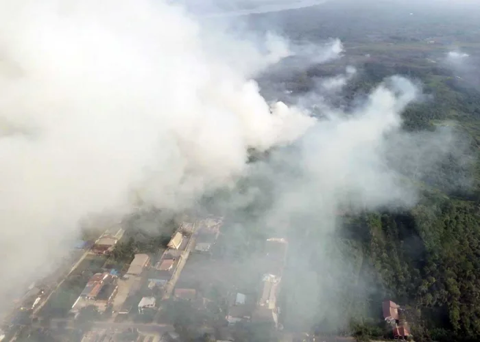 Bongkar Data Karhutla: 74 Persen Hotspot Kalimantan di Kawasan Konsesi, DPR Minta Izin Perusahaan Dicabut