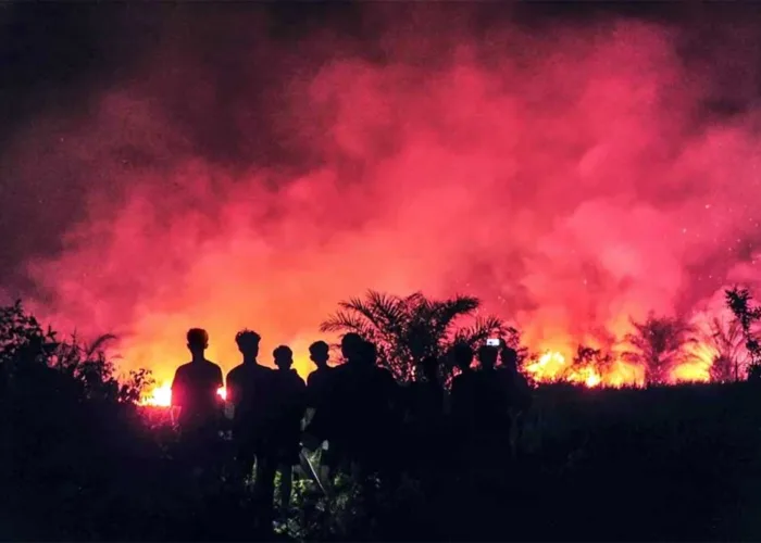355 Hotspot Kepung Riau, Pelalawan dan Inhil Jadi Daerah Paling Rawan
