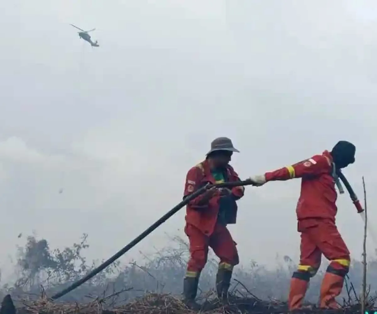 583 Hektare Lahan Bekas Terbakar Ditemukan di Lima Konsesi Korporasi Riau