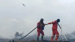 583 Hektare Lahan Bekas Terbakar Ditemukan di Lima Konsesi Korporasi Riau