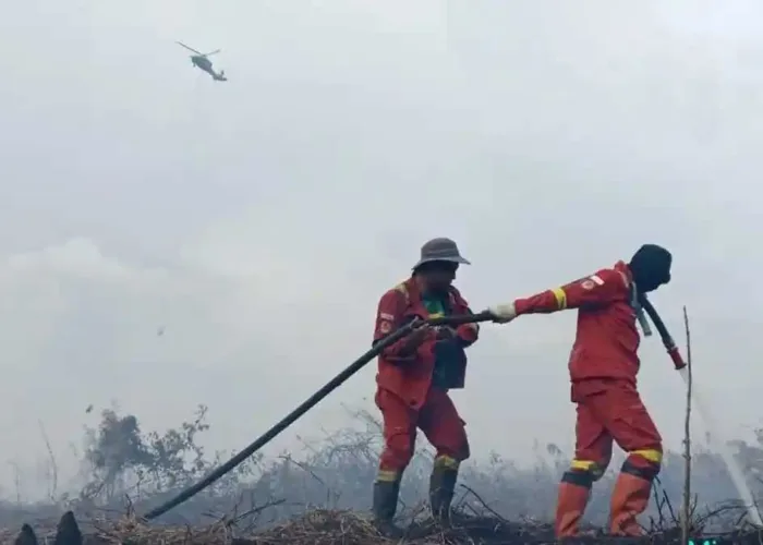 583 Hektare Lahan Bekas Terbakar Ditemukan di Lima Konsesi Korporasi Riau