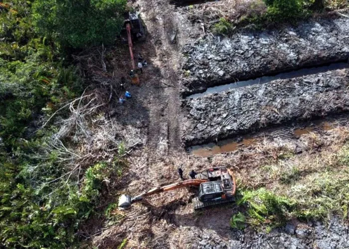 Mangrove Rohil Kian Terancam, Dugaan Pembukaan Meluas ke Kubu dan Kubu Babussalam