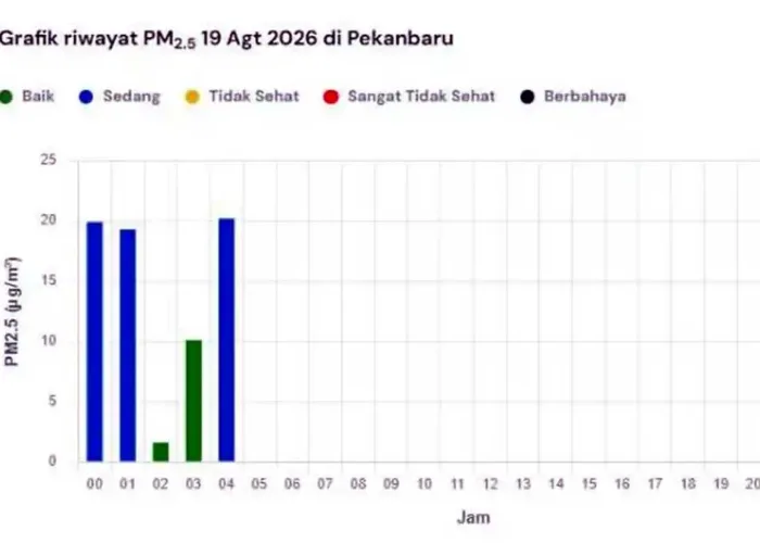 Kualitas Udara Pekanbaru Pagi Ini Membaik, Warga Tetap Diminta Waspada