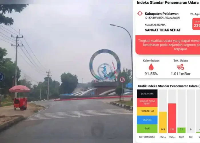 Kualitas Udara Pelalawan Mulai Membaik, PM2.5 Masih Sangat Tidak Sehat