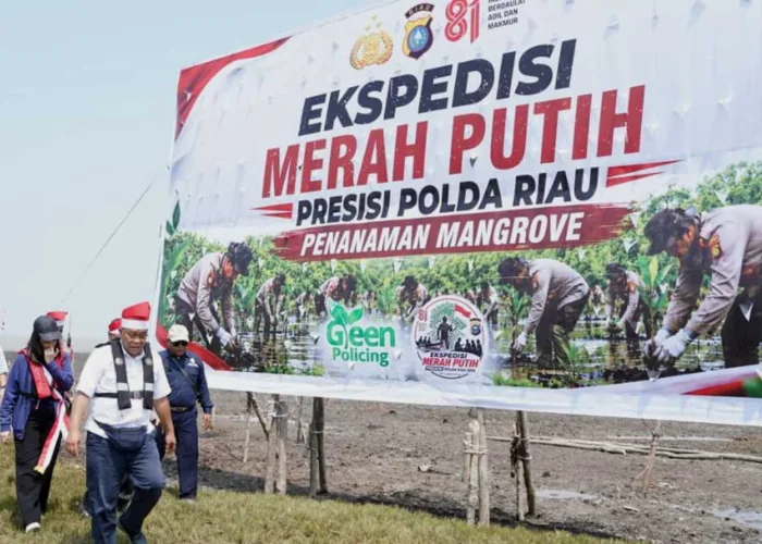 Abrasi Rusak 1.700 Hektare Kebun Warga Inhil, Pemerintah Siapkan 500 Hektare Mangrove