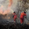Riau Dikepung 491 Hotspot, Pelalawan dan Inhil Paling Mengkhawatirkan